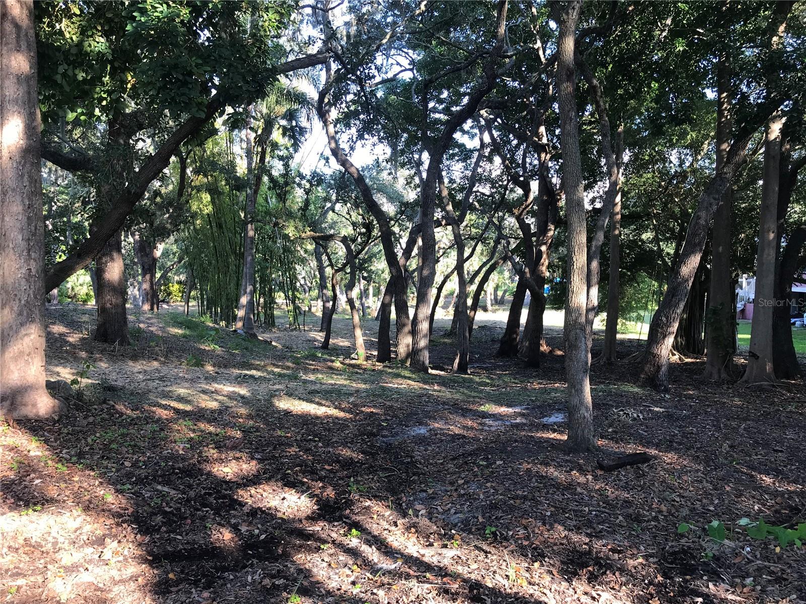 SARASOTA-VENICE CO RIVER SUB - Land