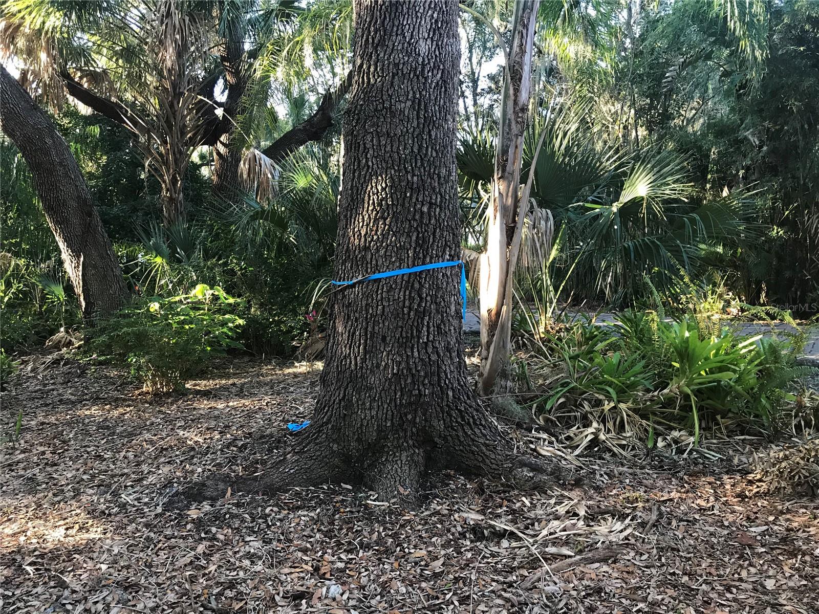 SARASOTA-VENICE CO RIVER SUB - Land