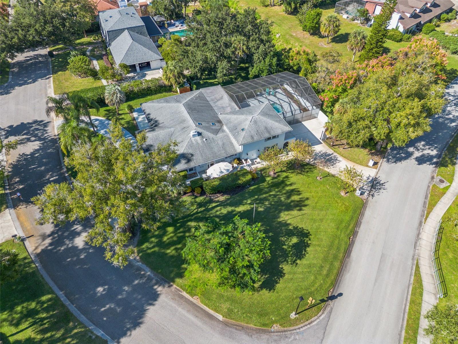 101 VARIETY TREE CIRCLE