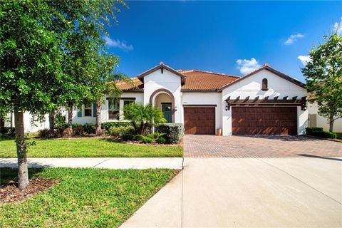 16913 CLEAR CORK DRIVE WIMAUMA FL 33598