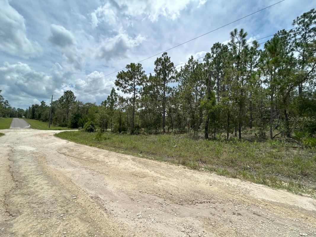 WOODED 1 ACRE LOT! Ready for your dream home! Okay for site built or manufactured (mobile) homes. No deed restrictions, no HOA! Located just off a paved road just a few short mins from the City of Williston. Easy commute to Gainesville and Ocala. Enjoy lower Levy County property taxes, relaxed country living and lots of outdoor activities nearby like kayaking, tubing, fishing, hiking, hunting and so much more.