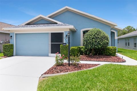 Photo of 10029 Brookdale Drive, New Port Richey, FL 34655 (MLS # W7887170)