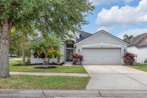 Photo of 12721 Avelar Creek Drive, Riverview, FL 33578 (MLS # TB8424712)