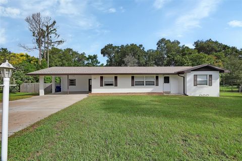 Photo of 717 E Grove Place, Deland, FL 32724 (MLS # V4945250)