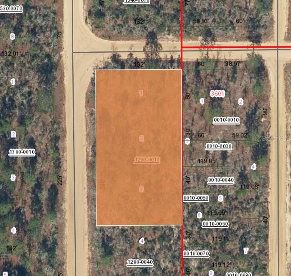 Photo of Xx Orchid Avenue, Interlachen, FL 32148 (MLS # FC316361)