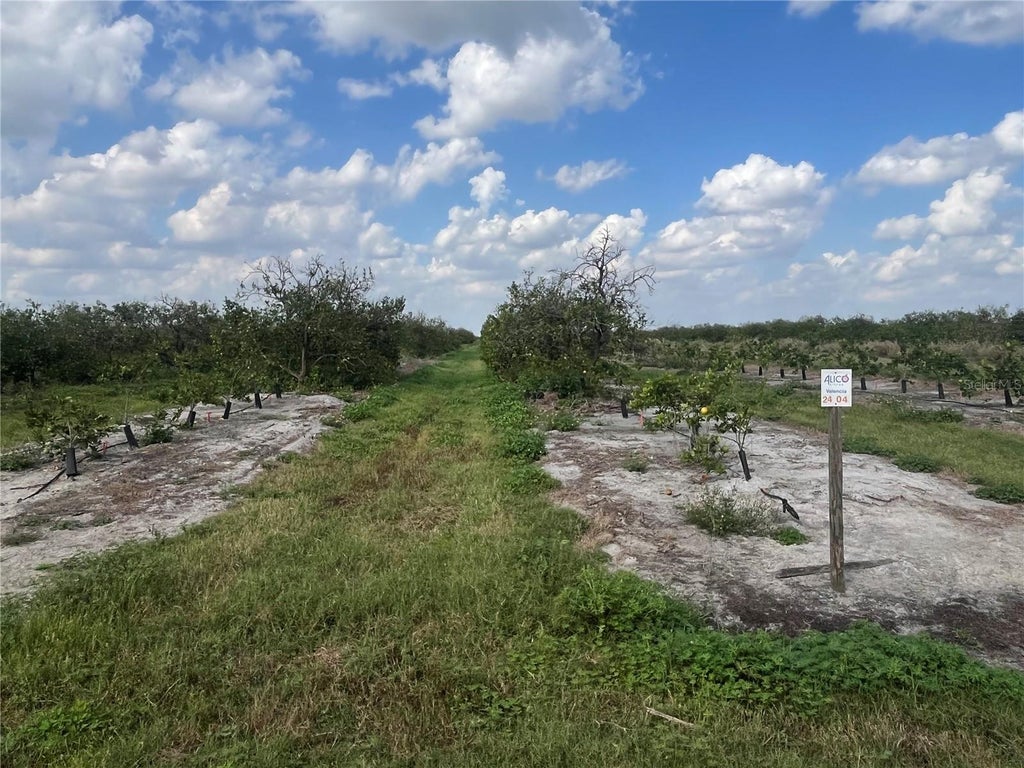 Photo of NE Hwy 70 #04-24-04, Arcadia, FL 34266 (MLS # O6431847)