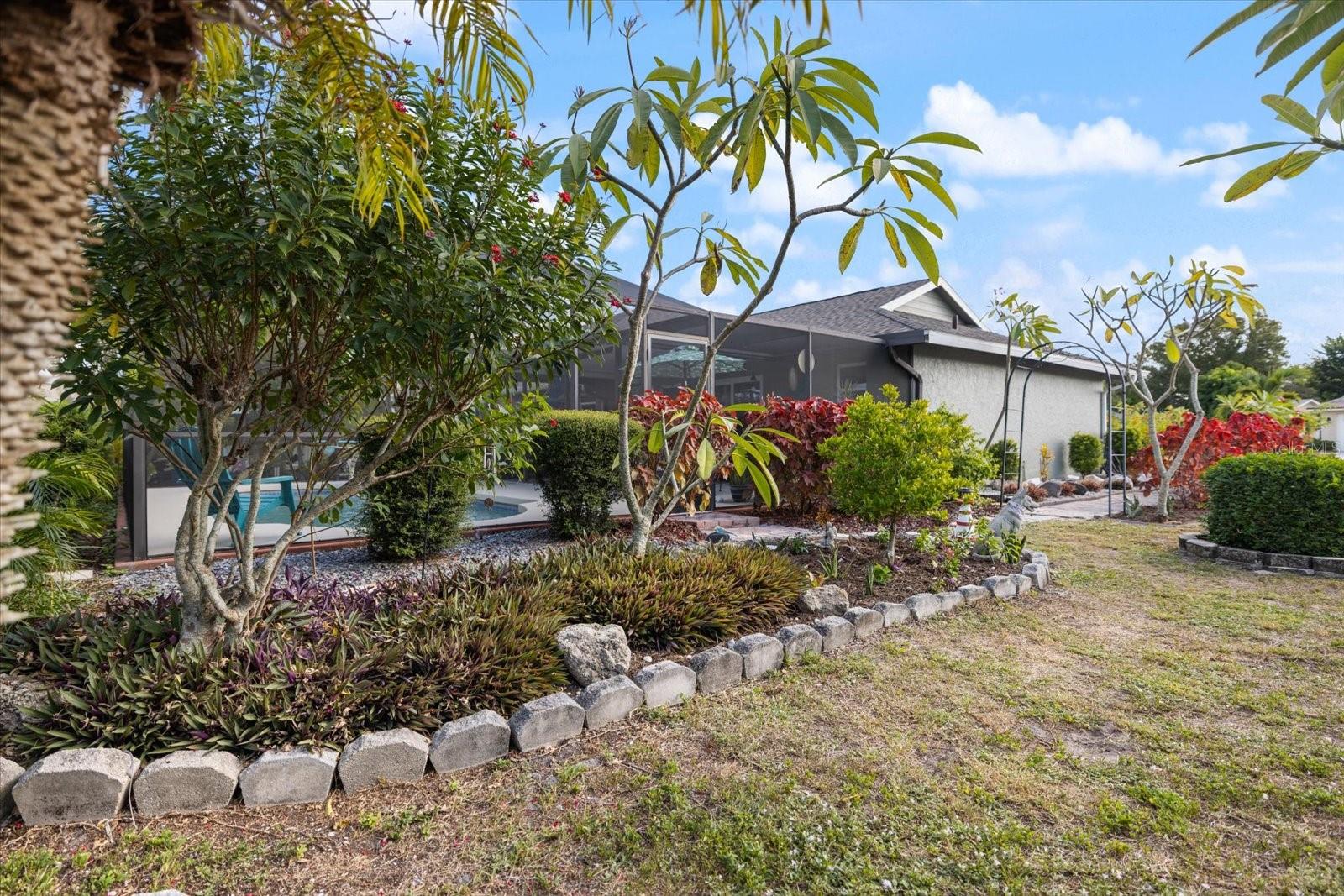 CHESTNUT CREEK LAKES OF - Residential