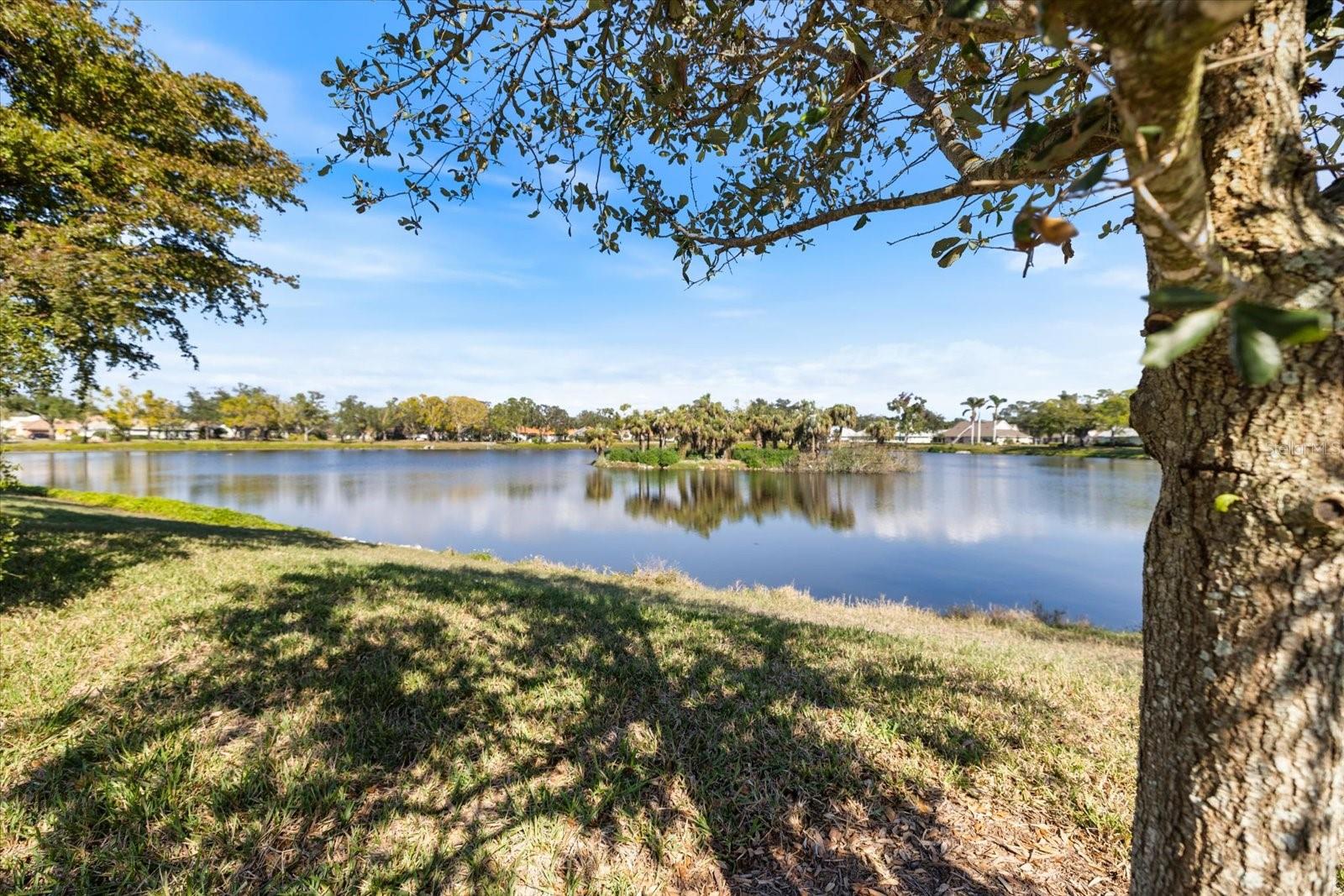 CHESTNUT CREEK LAKES OF - Residential