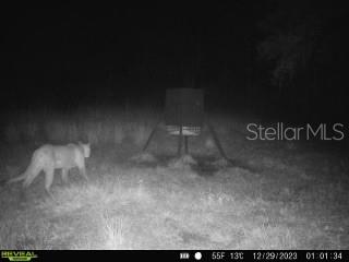 1040 CRACKER HAMMOCK