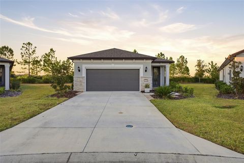 Photo of 6176 SW 93rd Avenue, Ocala, FL 34481 (MLS # OM721917)
