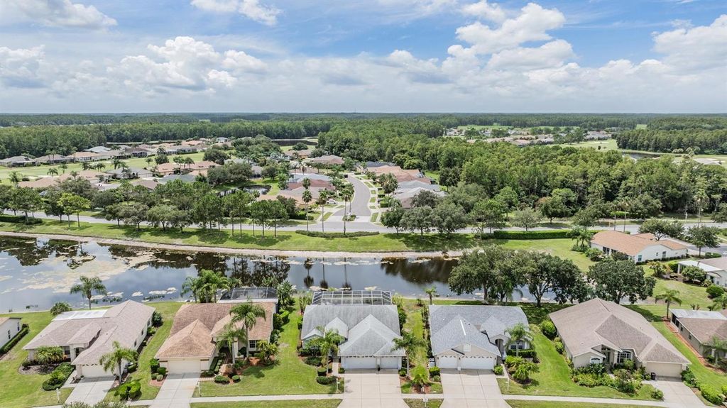 Photo of 11812 Washburn Place, Trinity, FL 34655 (MLS # W7867501)