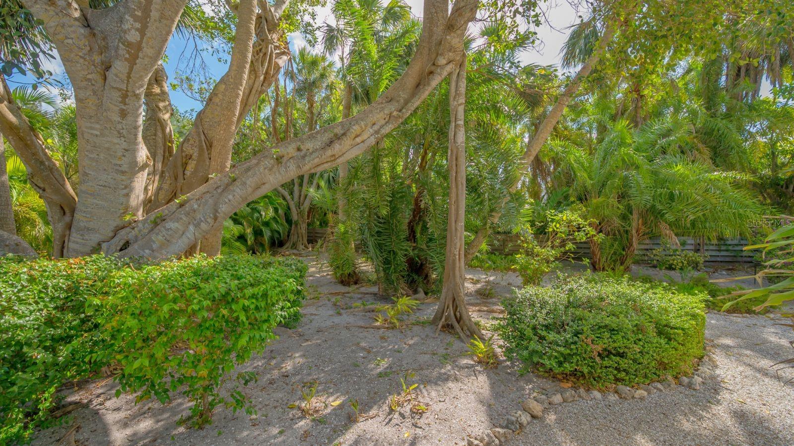 NOT PART OF A SUBDIVISION - Residential Lease