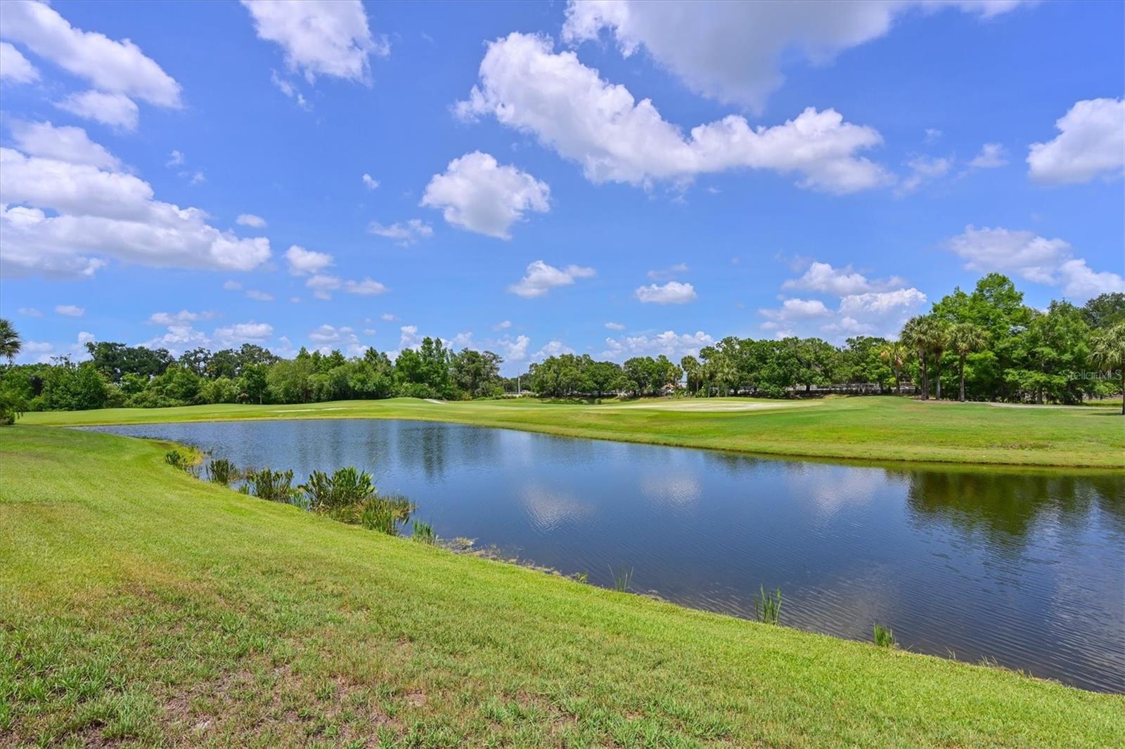 WATERLEFE GOLF & RIVER CLUB - Residential