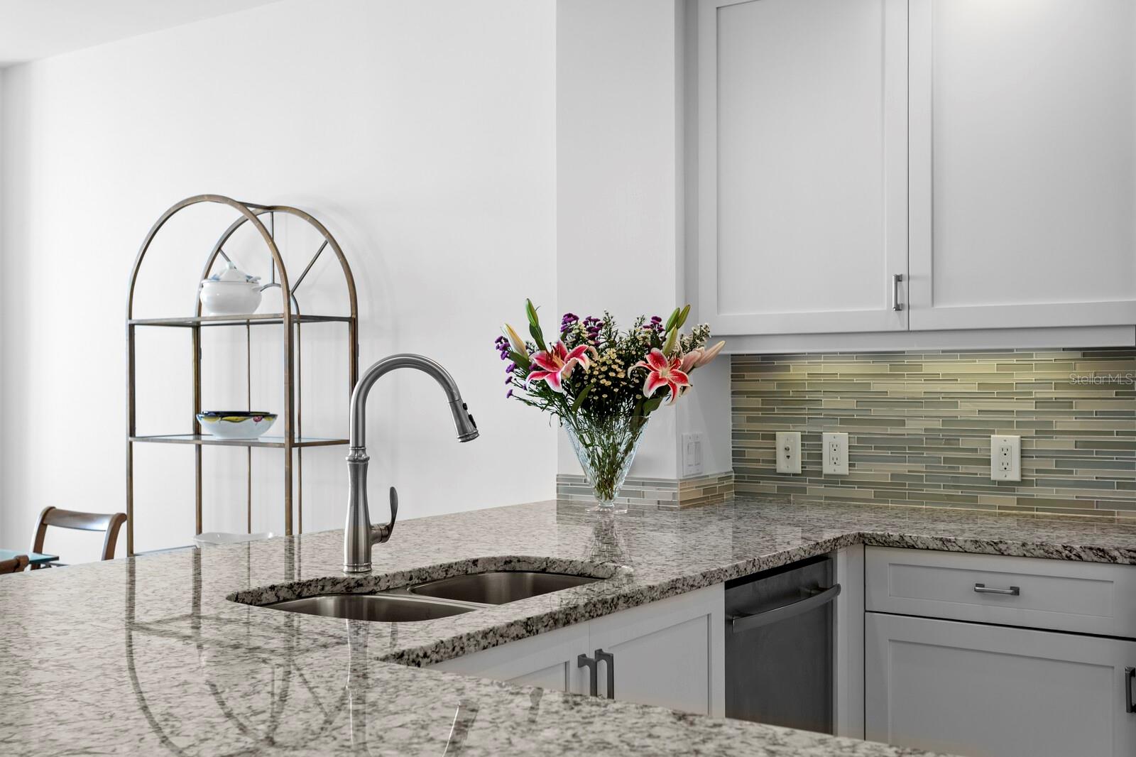 WATER CLUB SNELL ISLE CONDO - Residential