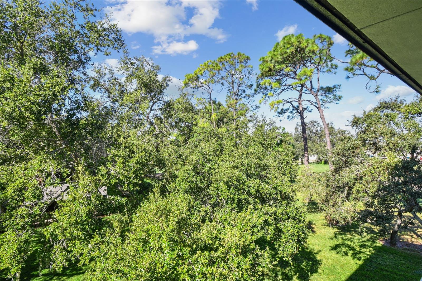 INNISBROOK 26 CONDO - Residential