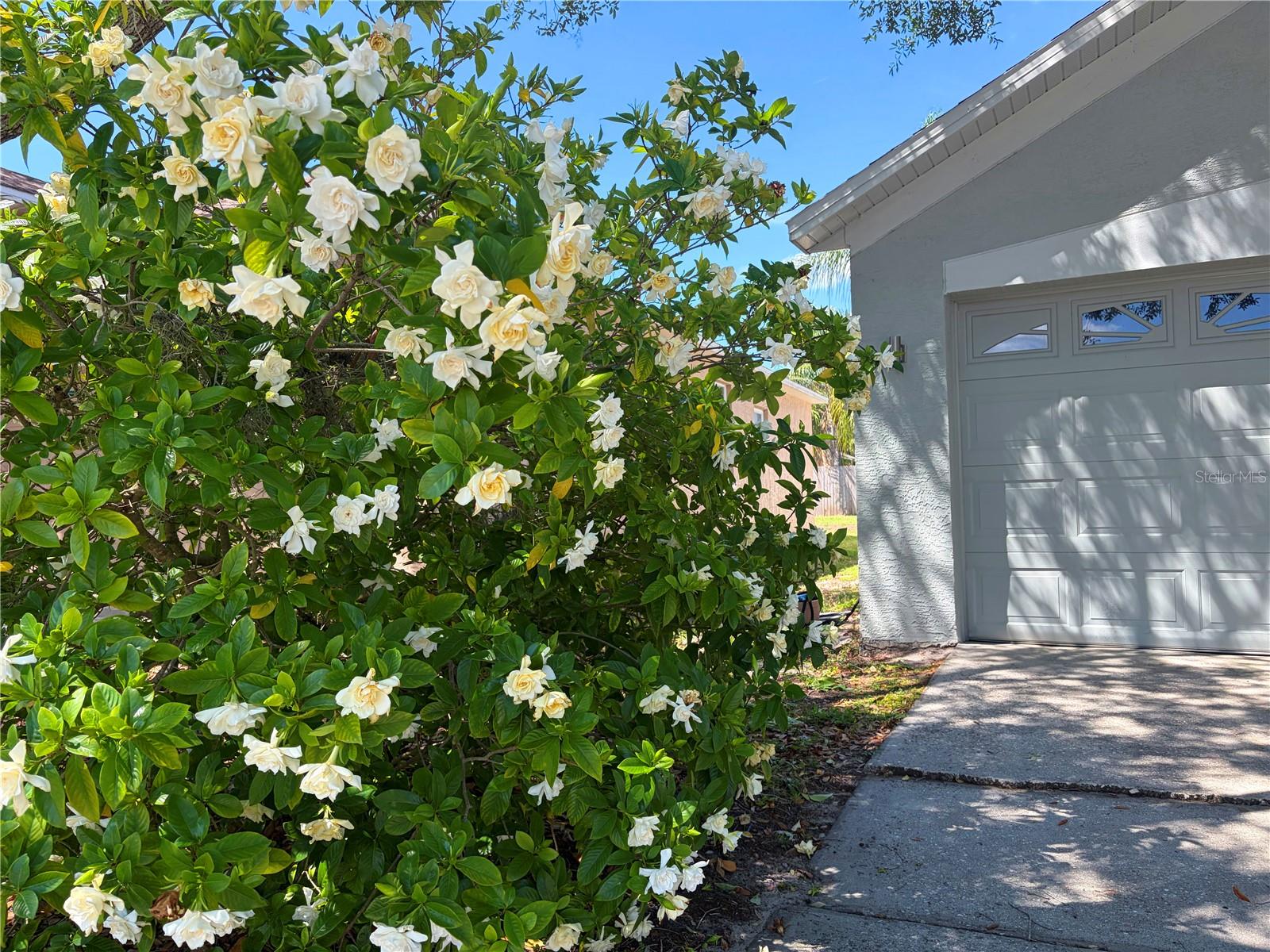 CROSS CREEK PRCL K PH 1B - Residential Lease