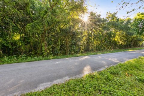 Lot E (address TBD) QUEBEC AVENUE DE LEON SPRINGS FL 32130