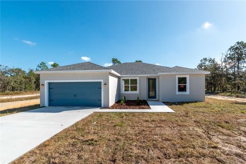 10071 SE DUNNELLON FL 34431