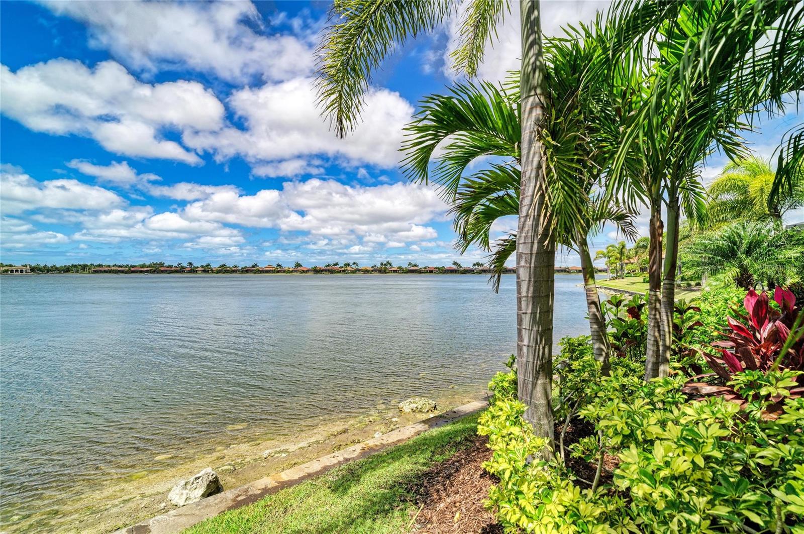 296 MARAVIYA BOULEVARD