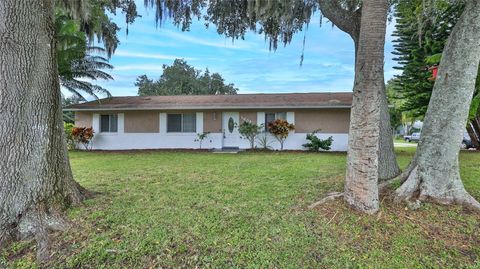 1604 UMBRELLA TREE DRIVE EDGEWATER FL 32132