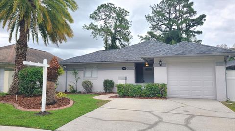 Photo of 5938 Birchwood Drive, Tampa, FL 33625 (MLS # TB8488758)