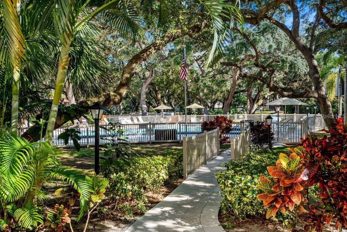 PATRICIAN OAKS - Residential