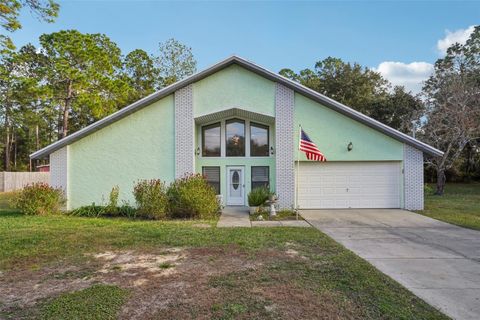 Photo of 18628 SE 53rd Place, Ocklawaha, FL 32179 (MLS # OM715457)