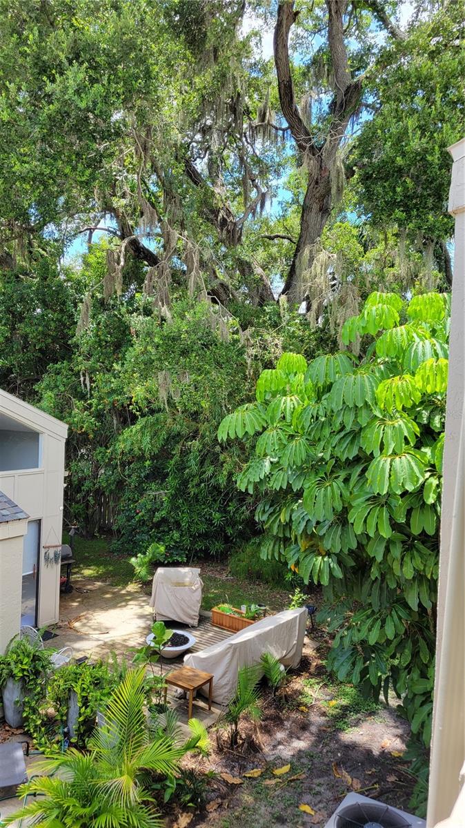 CORDOVA GARDENS - Residential Lease