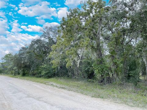 Tiny photo for Tbd NE 127th Court, Bronson, FL 32621 (MLS # OM691835)