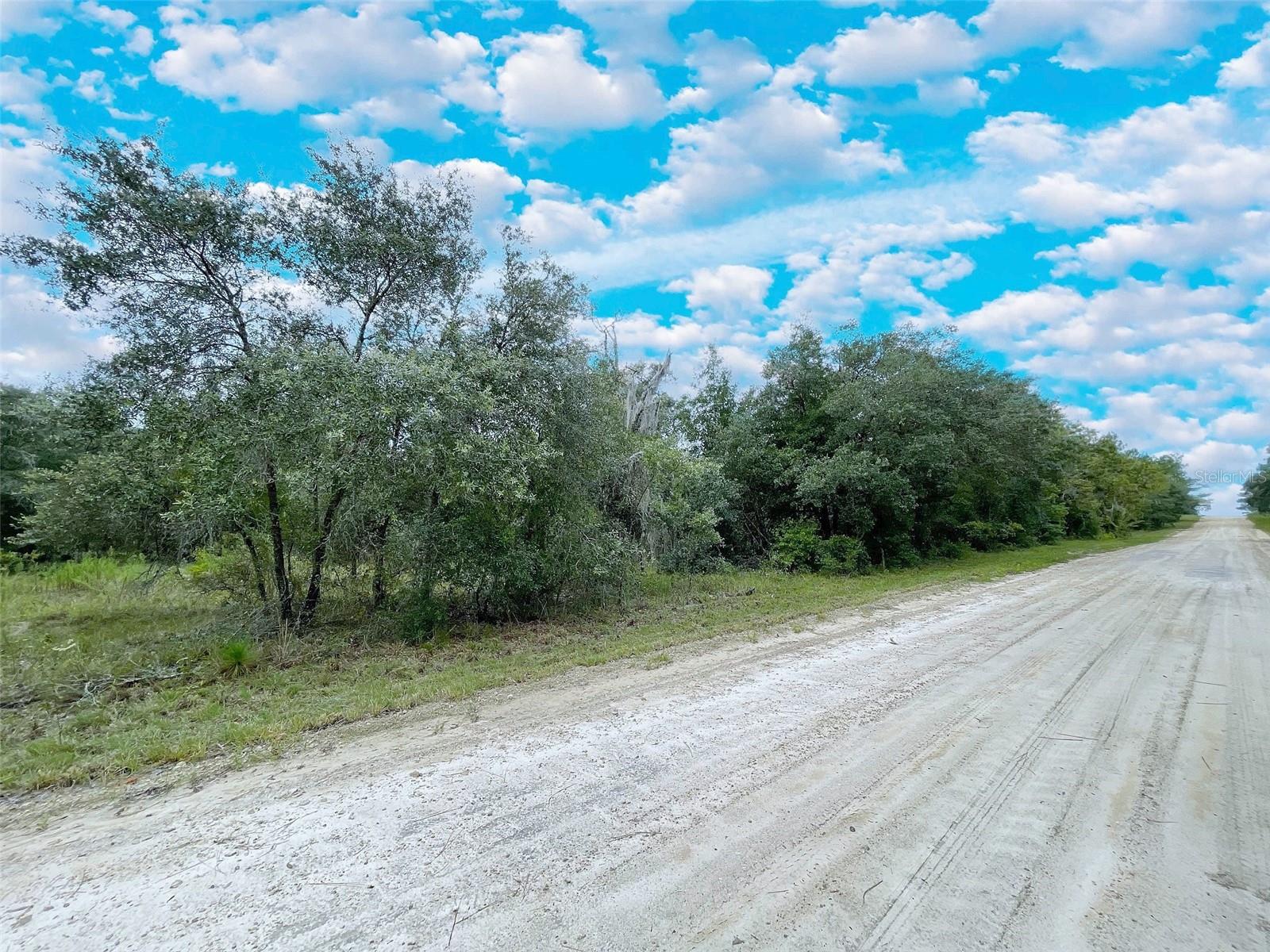 1.25 Acres of Tranquil Country Living in Bronson, FL – Zoned for Horses & Livestock Embrace the peaceful charm of rural Florida with this beautiful 1.25-acre wooded lot in Bronson. Tucked away in a quiet, natural setting, this property offers the perfect opportunity to build your dream home or establish a small hobby farm surrounded by the serenity of nature. Zoned to accommodate horses, cows, and chickens, it’s an ideal space for those seeking a self-sustaining lifestyle or simply room to breathe. The wooded landscape provides privacy and a scenic backdrop, while the open layout gives you plenty of flexibility to design your ideal homesite, garden, or barn setup. Located in a welcoming rural community, the property offers stunning sunsets and a true taste of Old Florida living—all while being within easy reach of the conveniences you need. Enjoy quick access to Rainbow Springs for kayaking, tubing, and hiking, or head west to the Gulf of Mexico for boating, fishing, and coastal adventures. Whether you’re dreaming of a custom-built retreat or a charming mini farm, this unique property combines the best of country living with excellent proximity to nature and nearby towns. Come experience the lifestyle you’ve been looking for—this rare gem won’t last long.