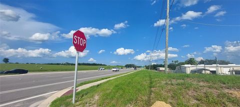 Tiny photo for 21628 State Road 46, Mount Dora, FL 32757 (MLS # V4932236)