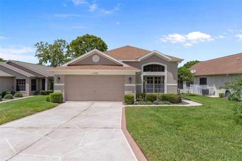 Photo of 11293 Copley Court, Spring Hill, FL 34609 (MLS # TB8503229)