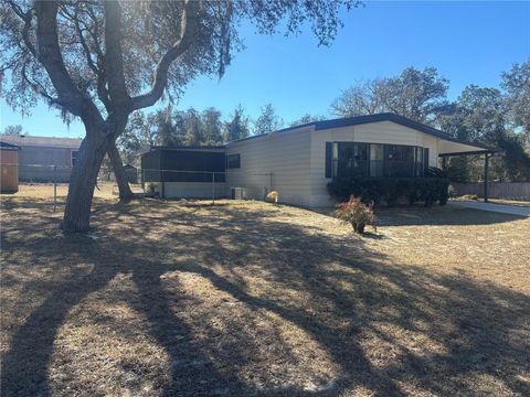 Photo of 18410 SE 58th Street, Ocklawaha, FL 32179 (MLS # OM717983)