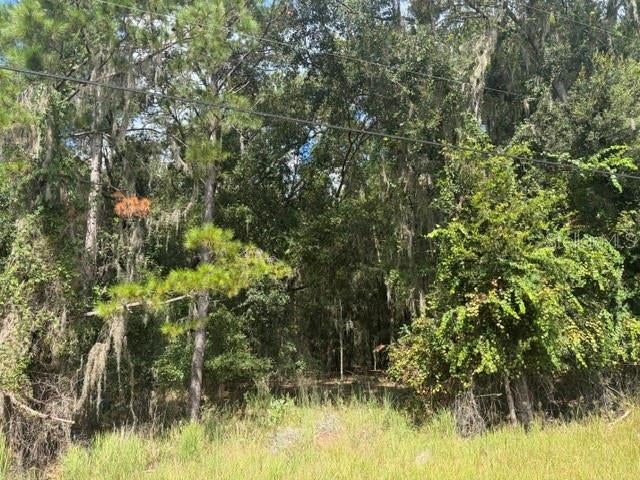 PINE CABIN ROAD