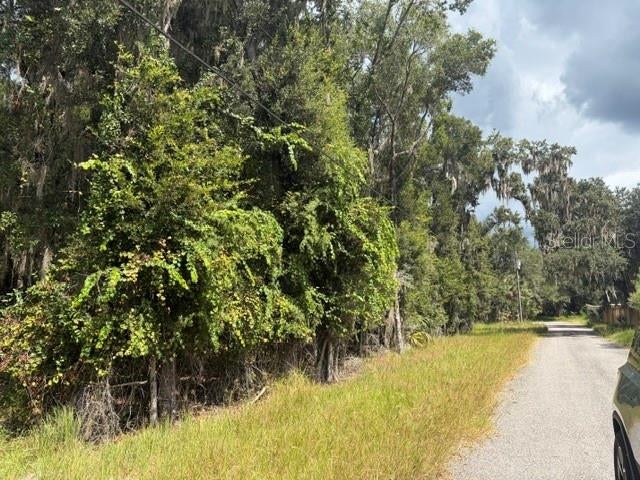 PINE CABIN ROAD
