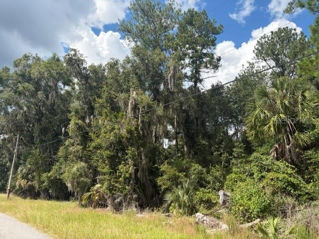 PINE CABIN ROAD
