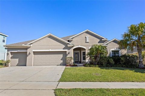 3032 ZANDER DRIVE GRAND ISLAND FL 32735