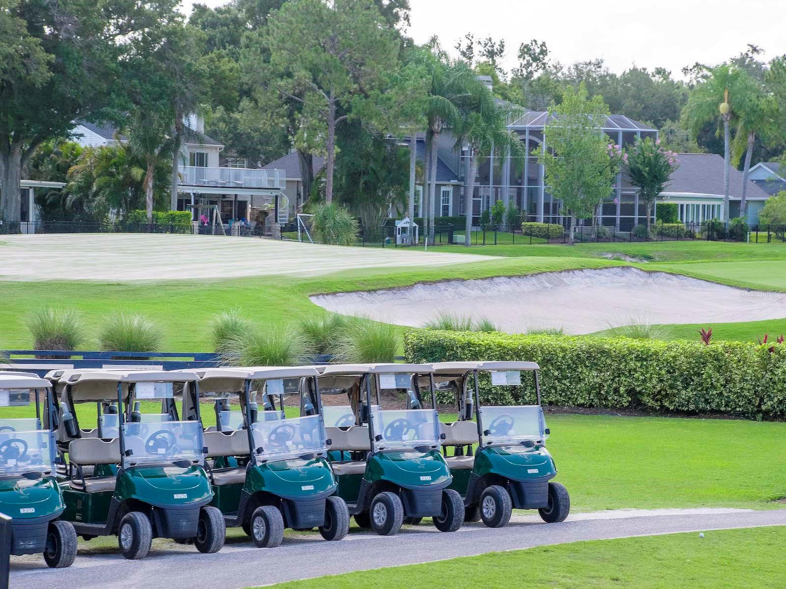 EMERALD GREEN VILLAS A CONDO - Residential Lease