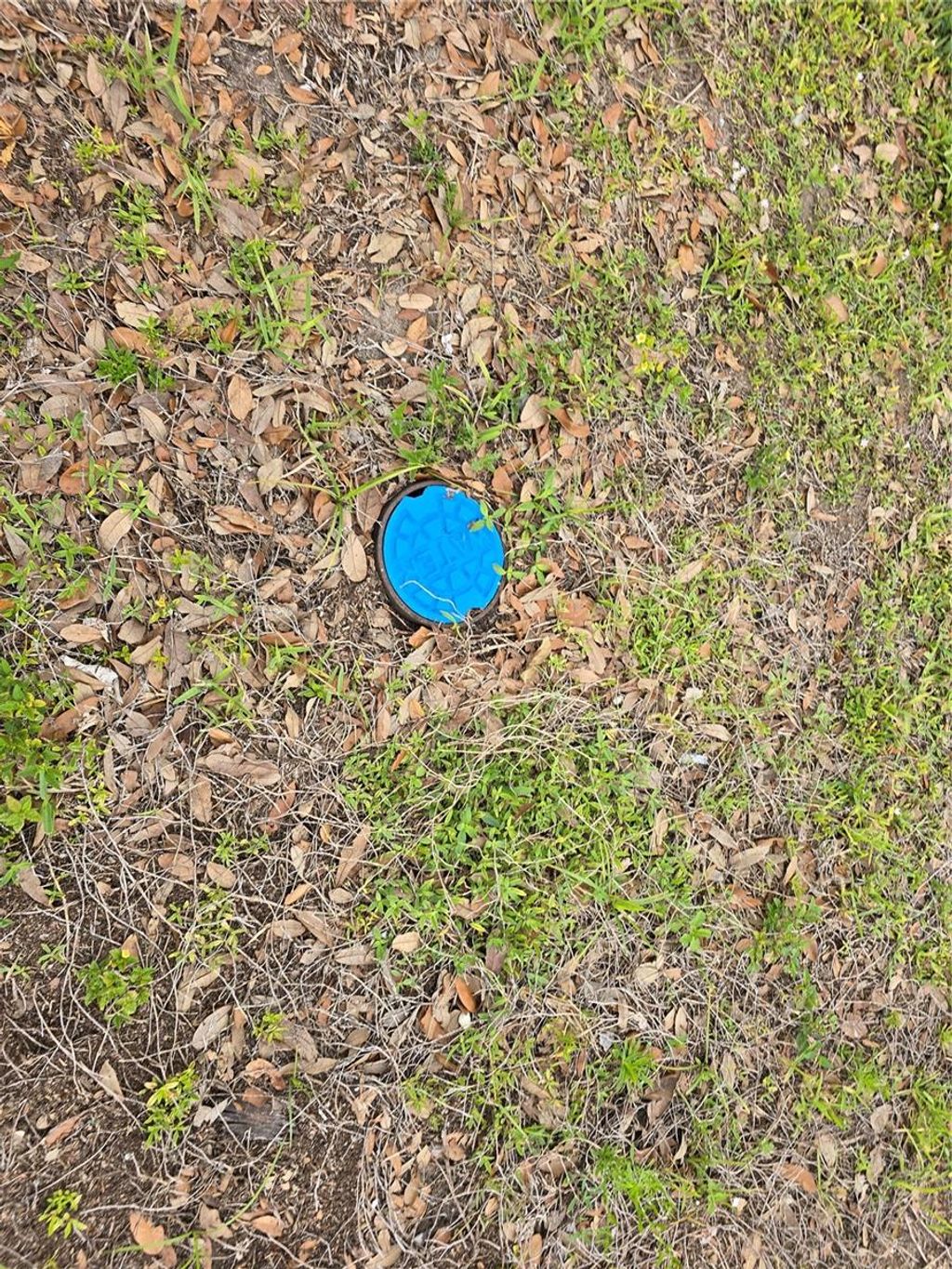 Photo of 904 26th Avenue E, Bradenton, FL 34208 (MLS # A4689384)