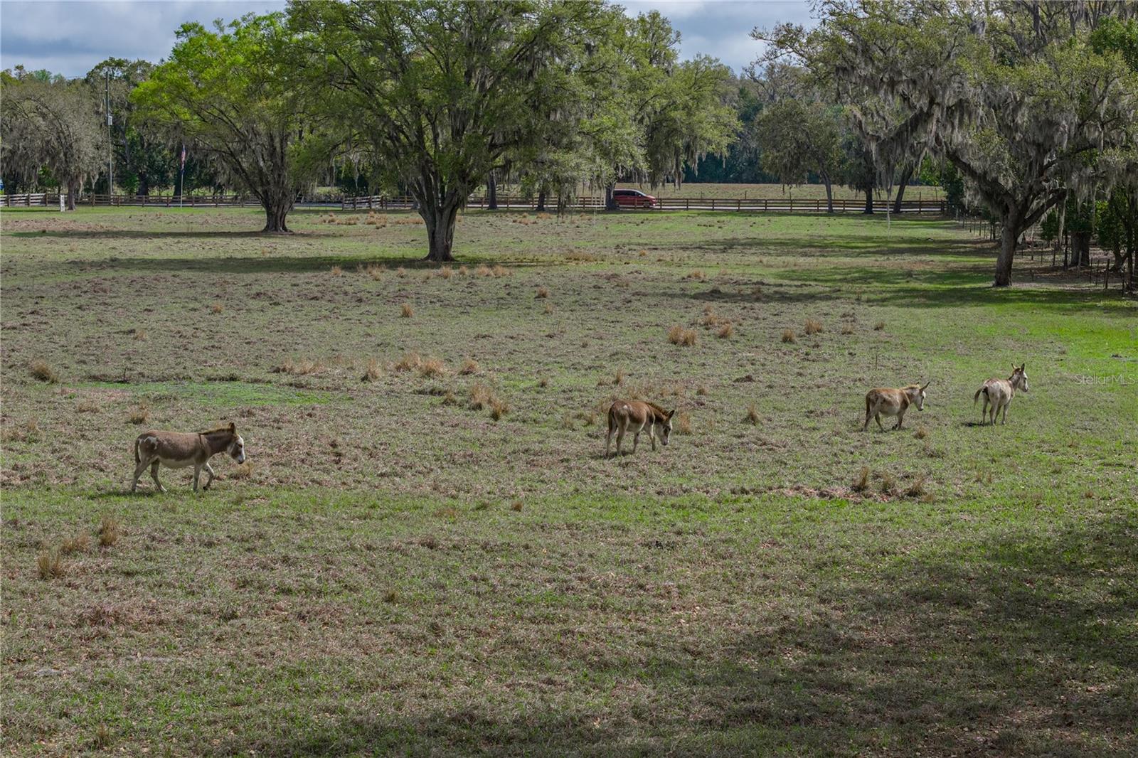 ACREAGE - Residential