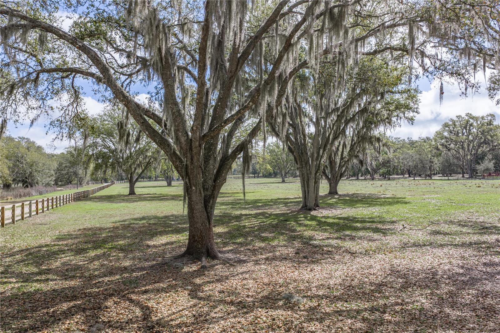 ACREAGE - Residential