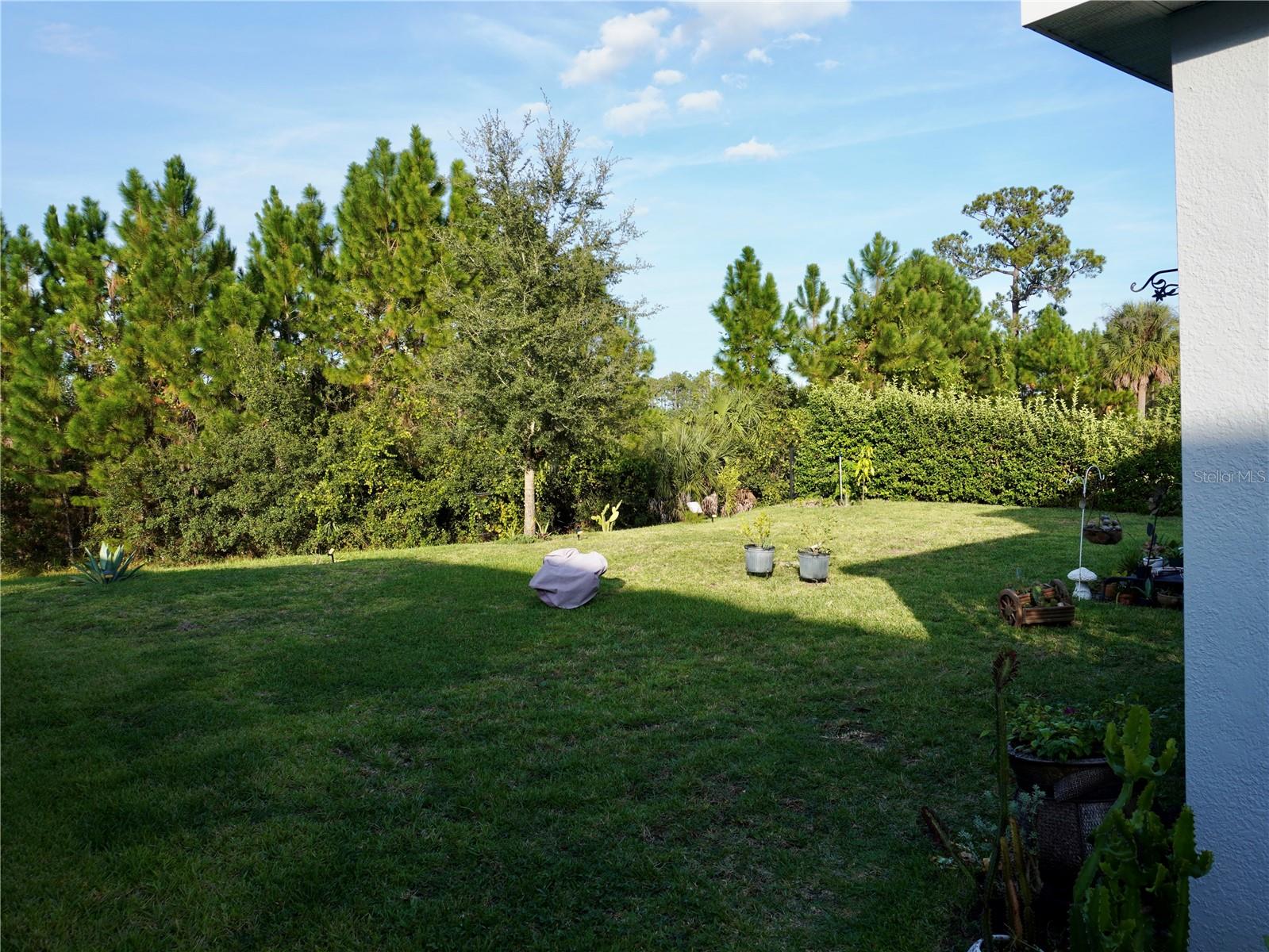 SERENOA VILLAGE 2 PH 1B-2 - Residential