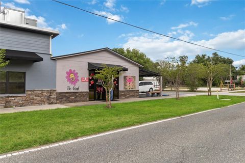 Tiny photo for 17436 7th Street, Montverde, FL 34756 (MLS # O6412025)