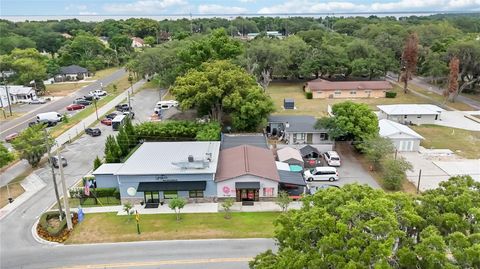 Tiny photo for 17436 7th Street, Montverde, FL 34756 (MLS # O6412025)