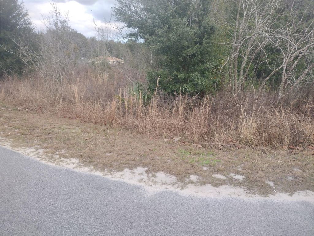 Photo of 0 NW 55th Avenue, Ocala, FL 34482 (MLS # OM718384)