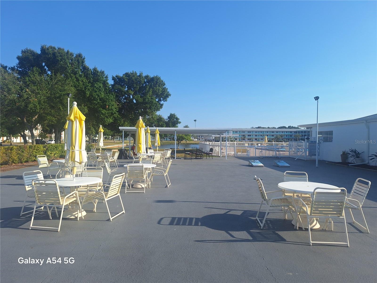 TOWN APTS CONDO - Residential Lease