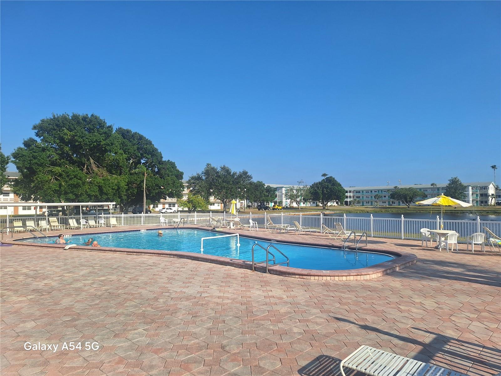 TOWN APTS CONDO - Residential Lease
