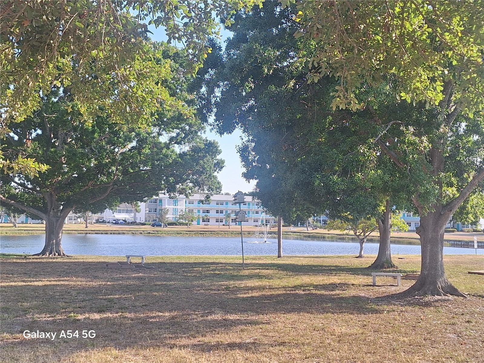 TOWN APTS CONDO - Residential Lease