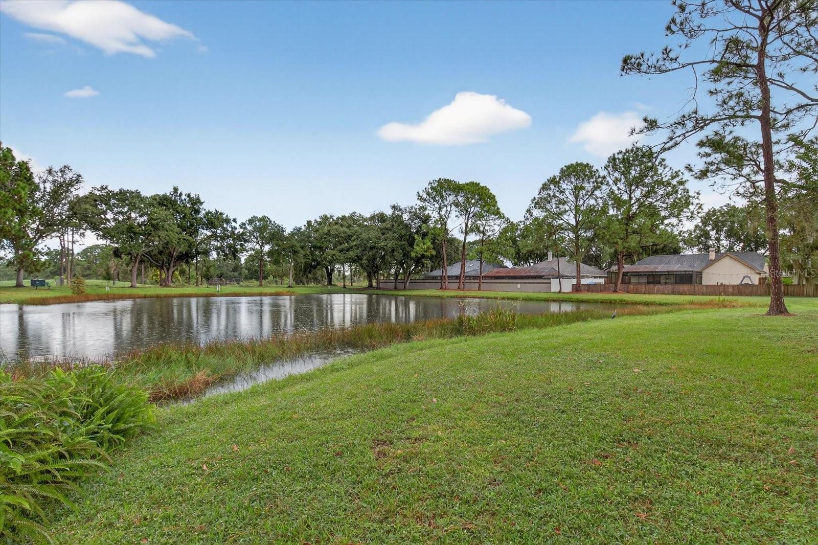 PEBBLE CREEK VILLAGE UNIT 5 - Residential