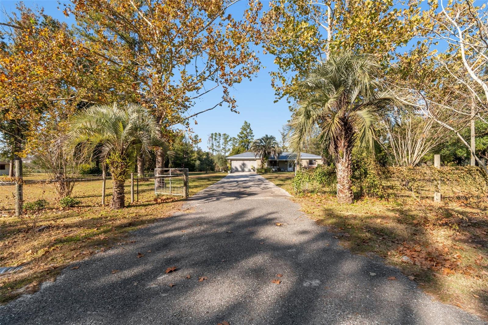 SPRING LAKE AREA - Residential